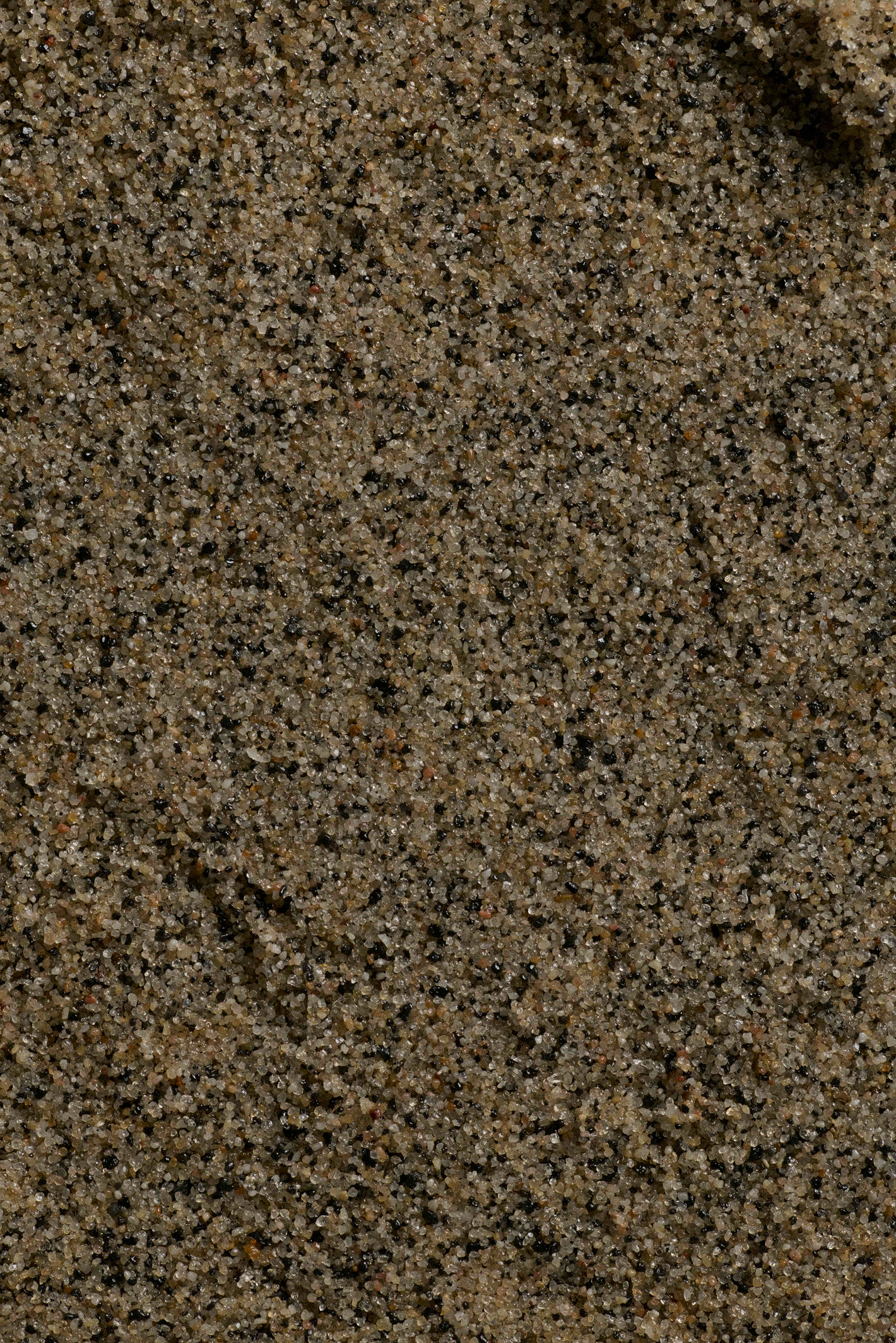 WetLok Paver Infill