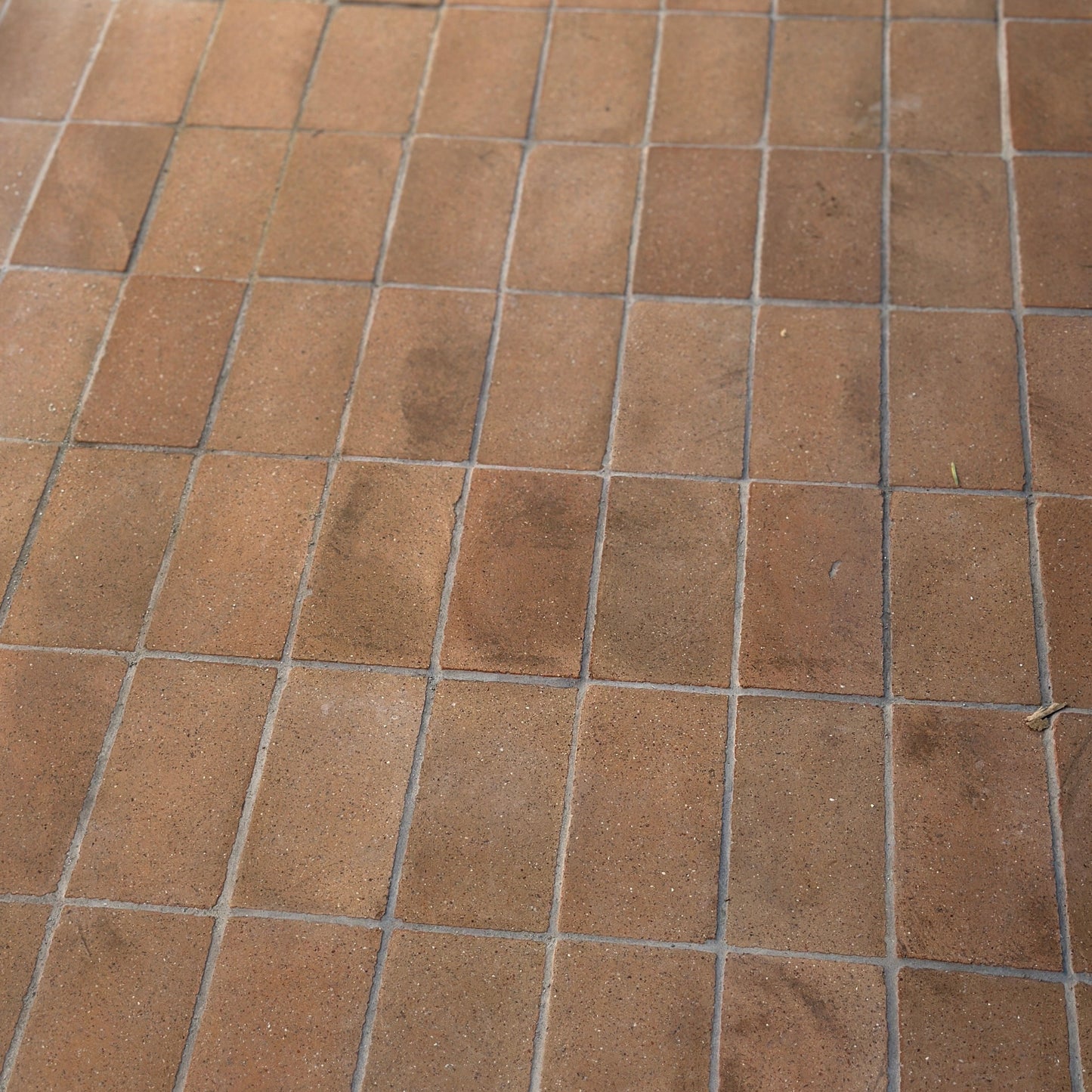 paver_cotto