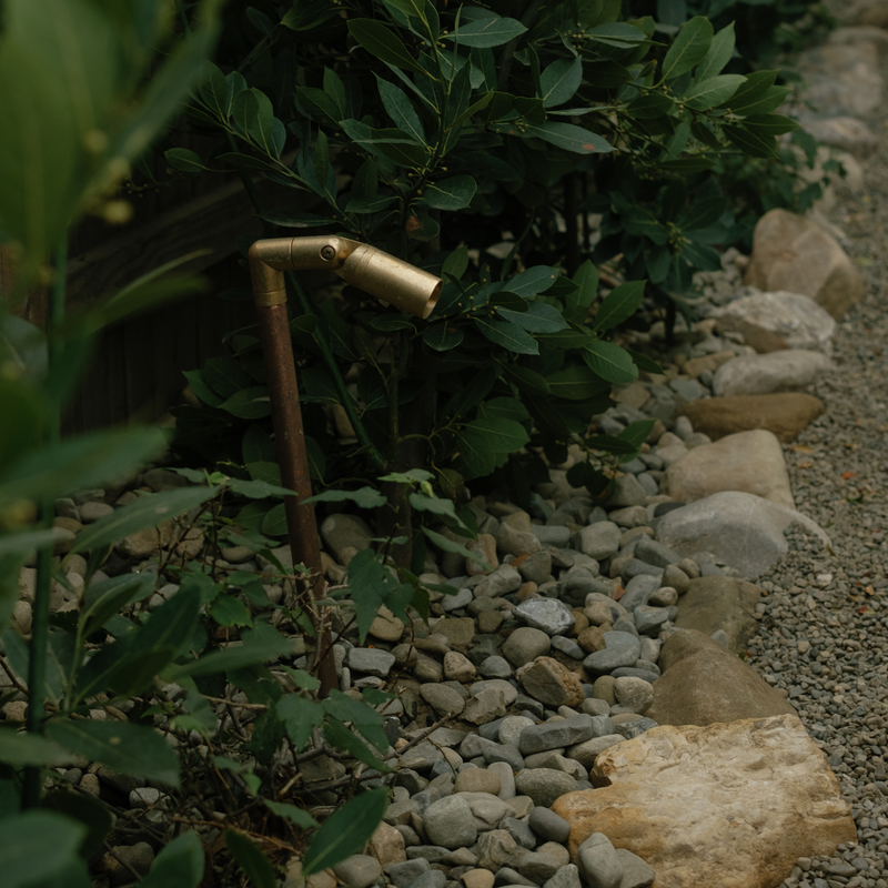 The nocturnal garden