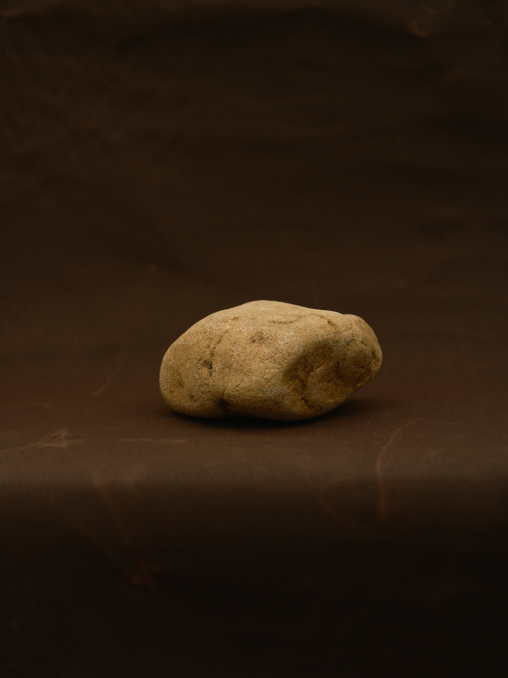 sample_coyote_crushed