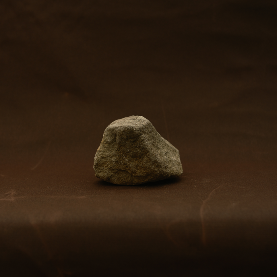 sample_moth_crushed