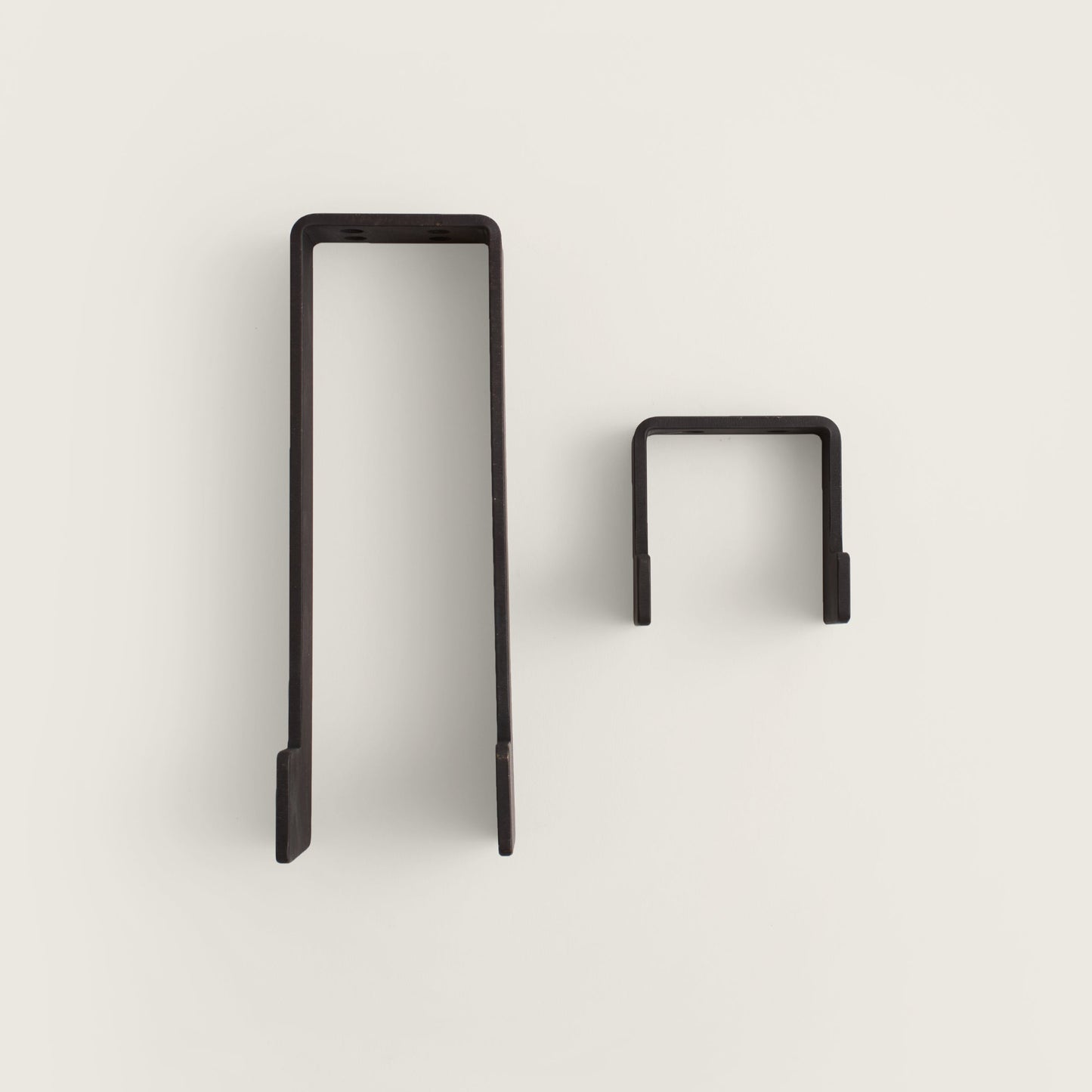 large_blackened bass