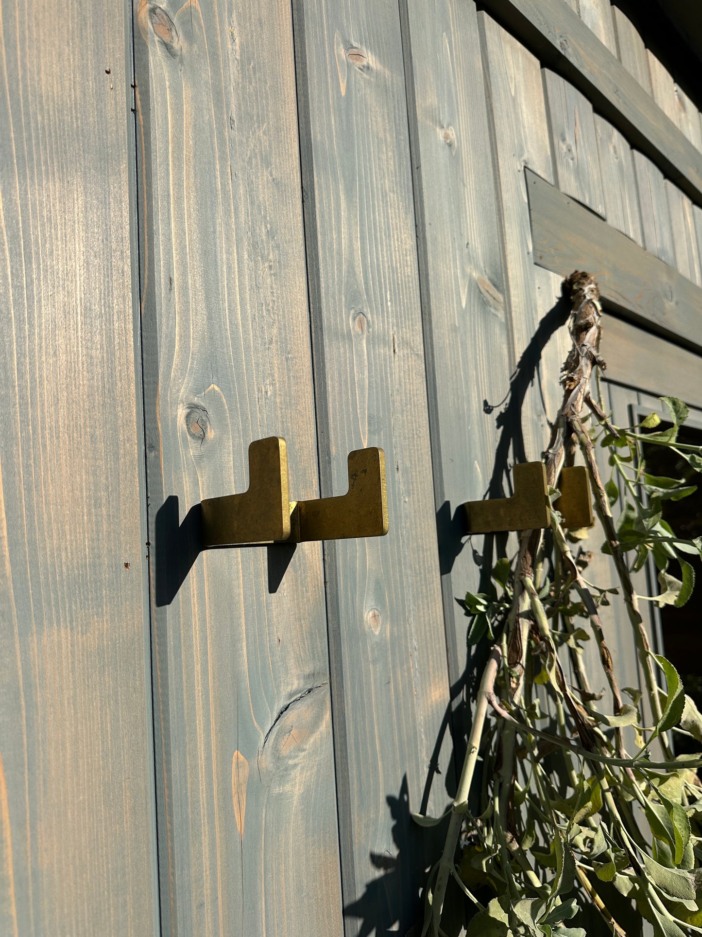 Brass metal hooks on a wooden wall with greenery