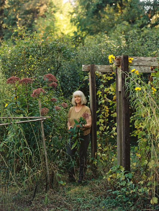 Lisa Walter-Sedlacek