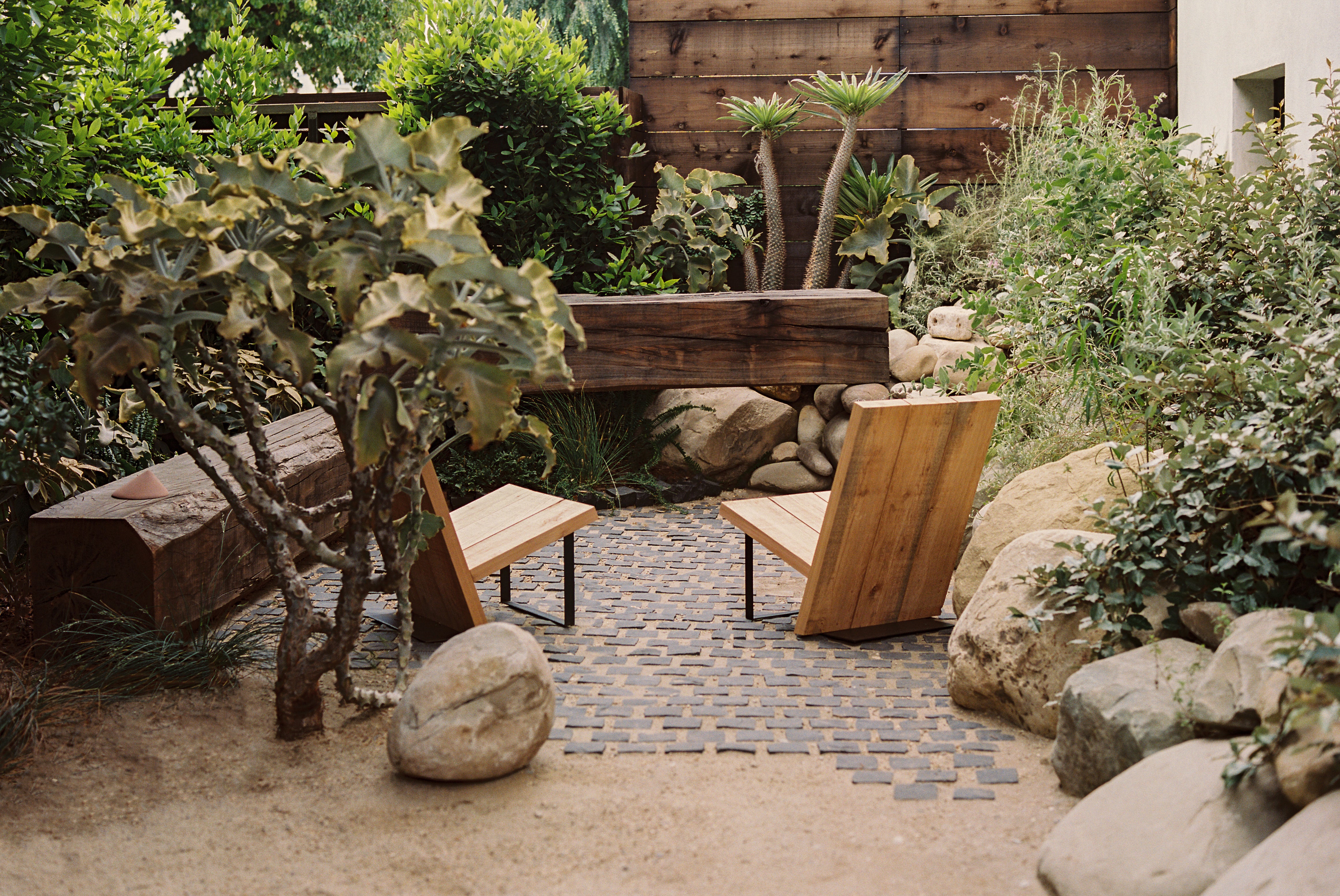 Fig Garden