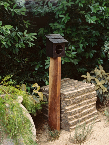 Native Plantings For Songbirds