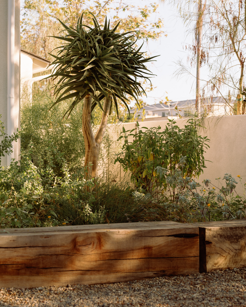 Plant Palettes by Region