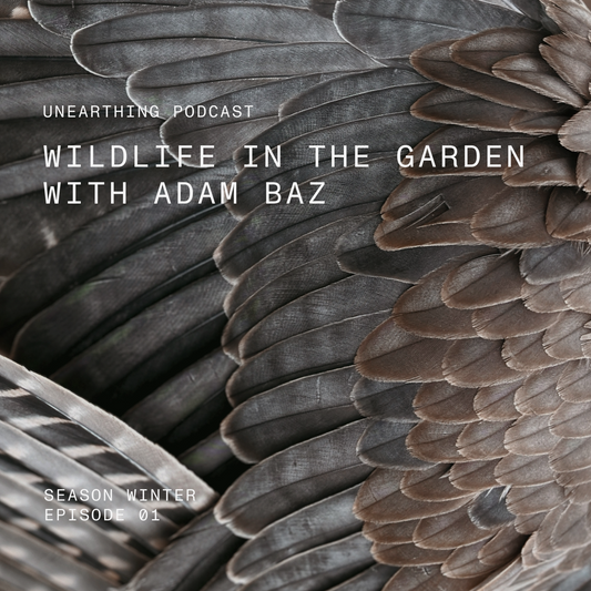 Unearthing: Wildlife in the garden with Adam Baz