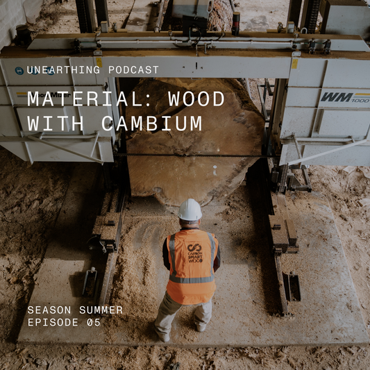 Unearthing: Wood with Cambium