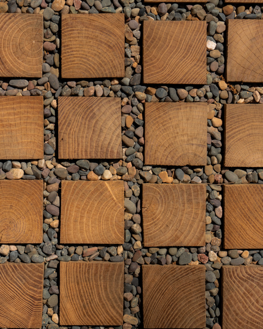 Material Study: Black Locust