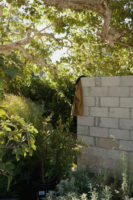 Gift Guide for the Garden Dweller