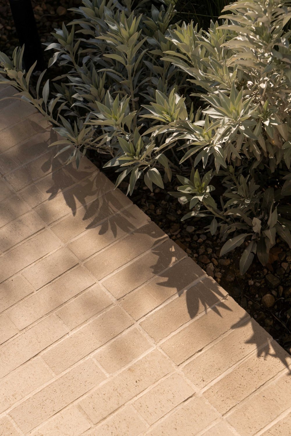 Brick Clay Tiles in Copal installed