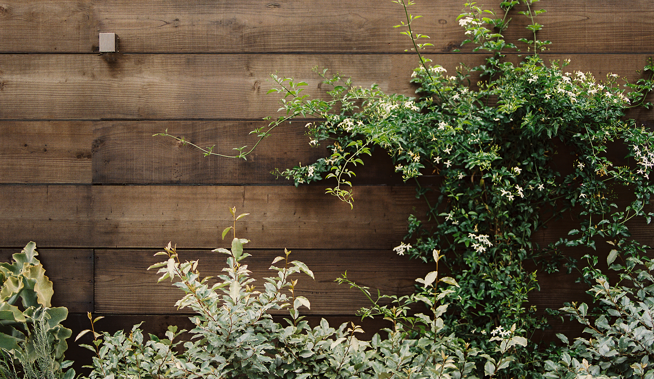 wooden fence with brown finish and plant surrounding the wall