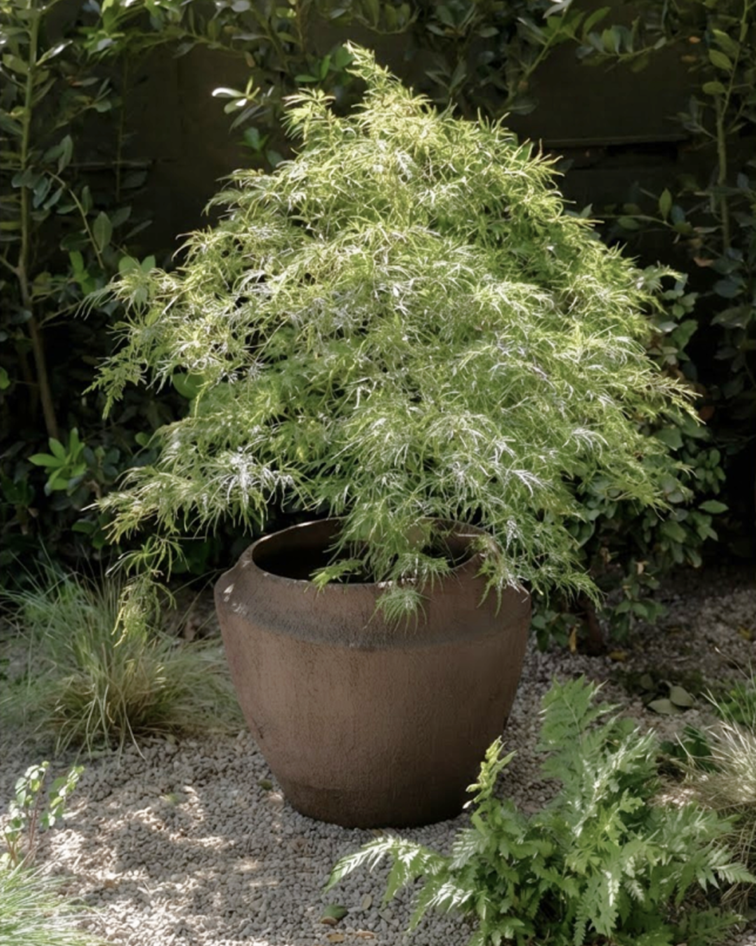 Alluvium Planter
