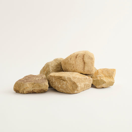 sample_coyote_crushed