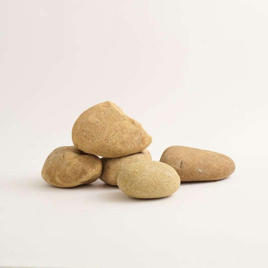 sample_coyote_round