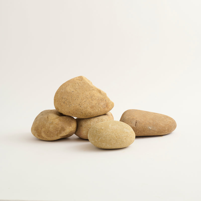 sample_coyote_round
