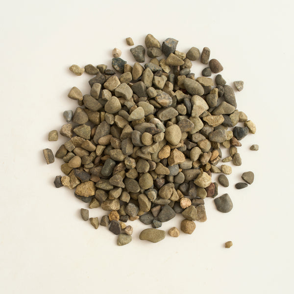 sample_coyote_round