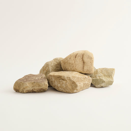 sample_moth_crushed