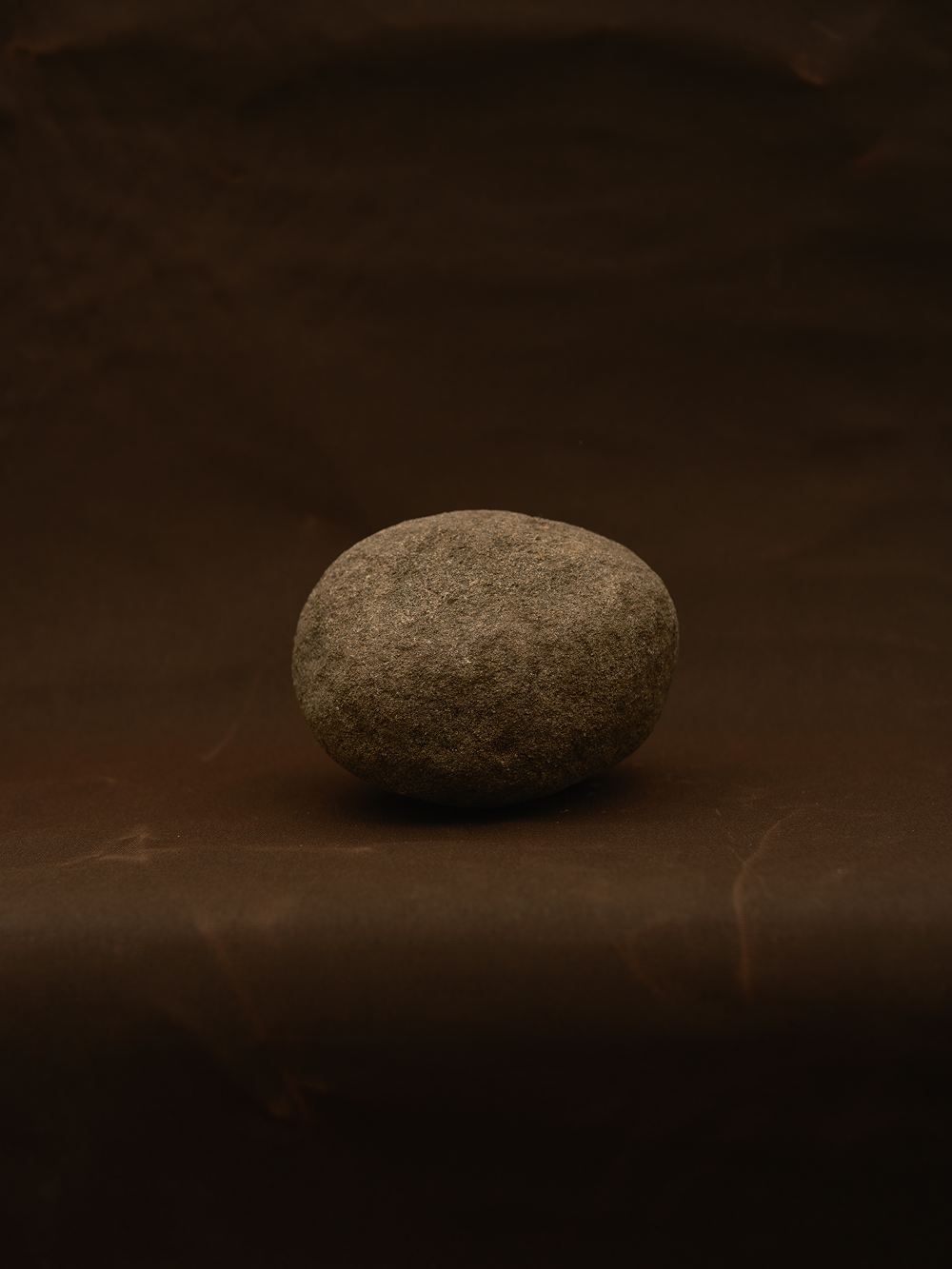 sample_junco_crushed