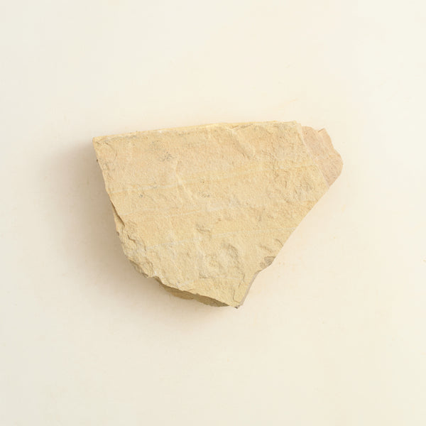 sample_ecru