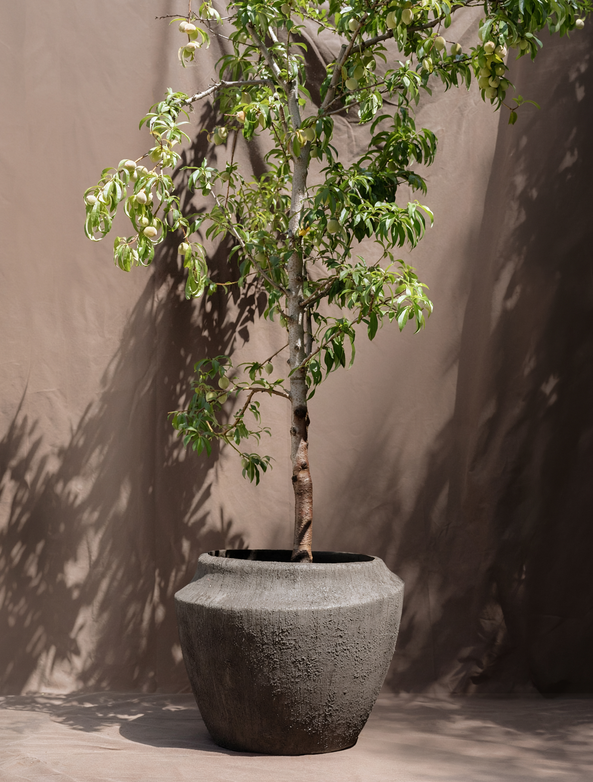 Alluvium Planter