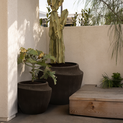 orca living planters