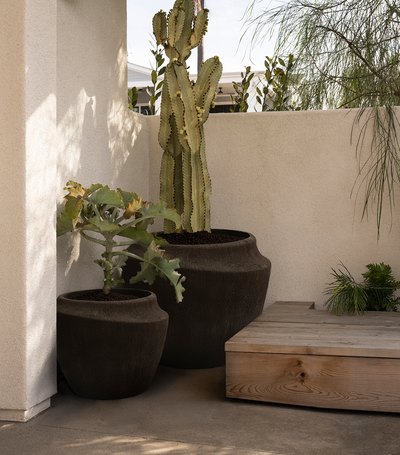 orca living planters