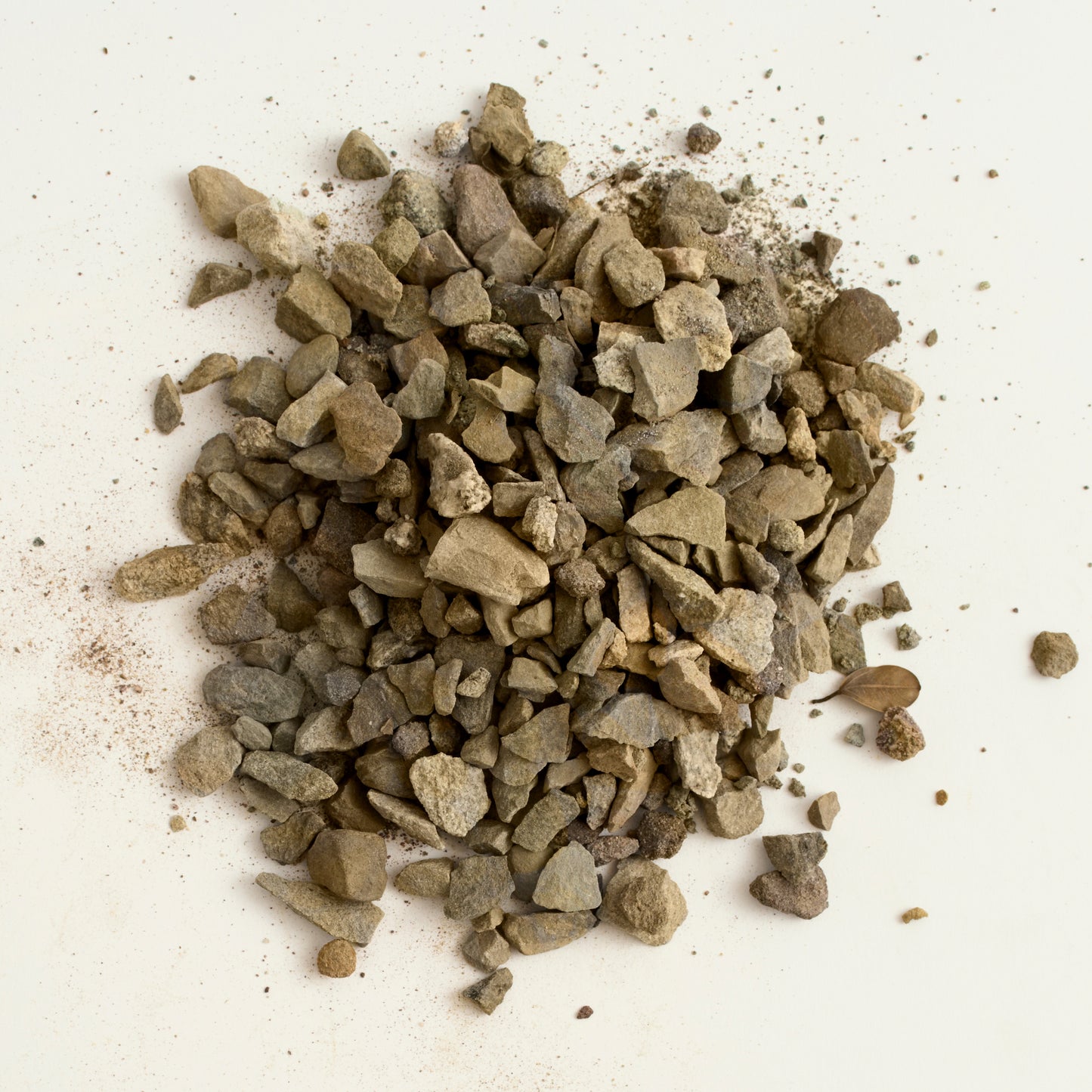 sample_coyote_crushed
