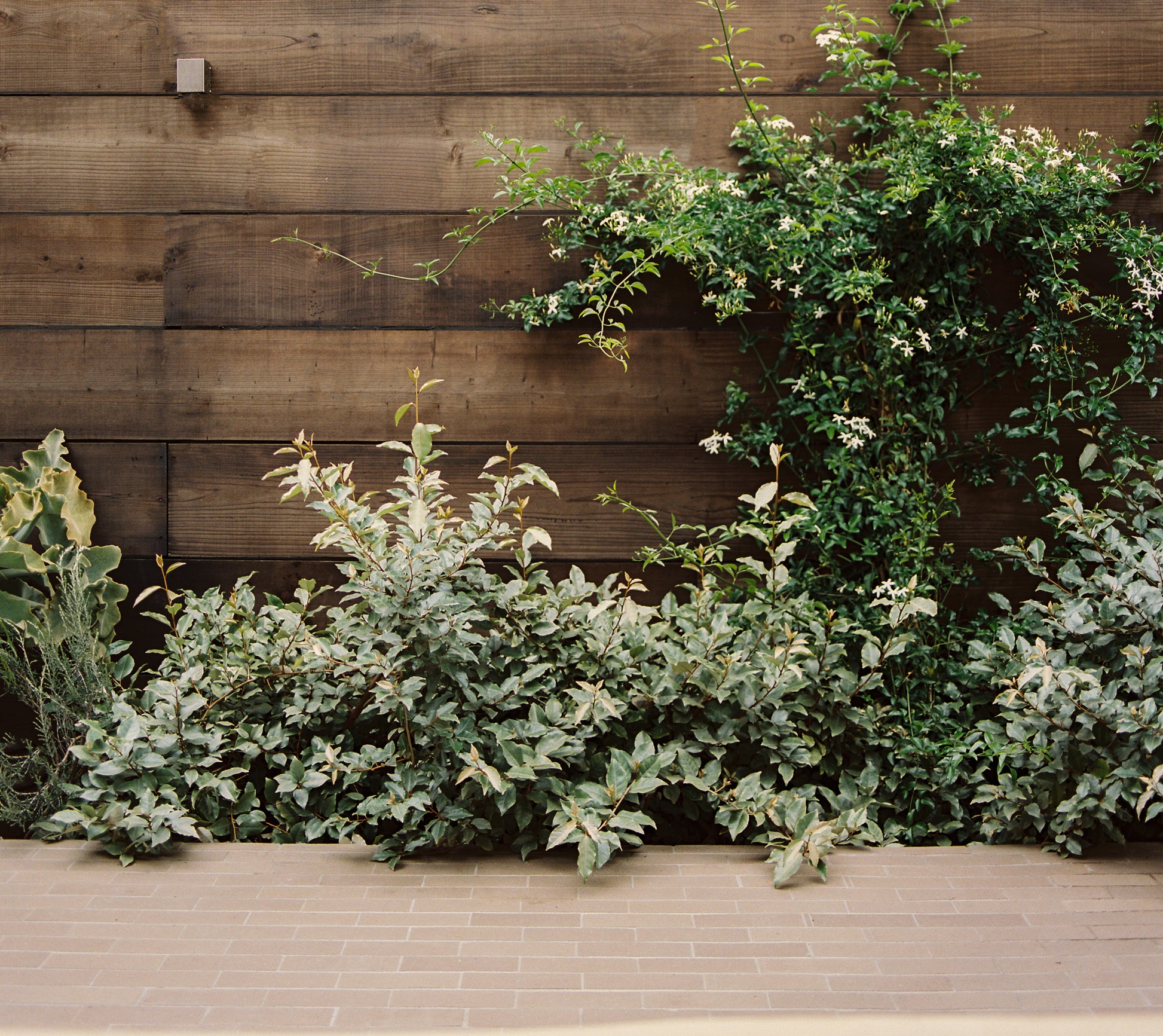 brick tile with wood fencing and planting