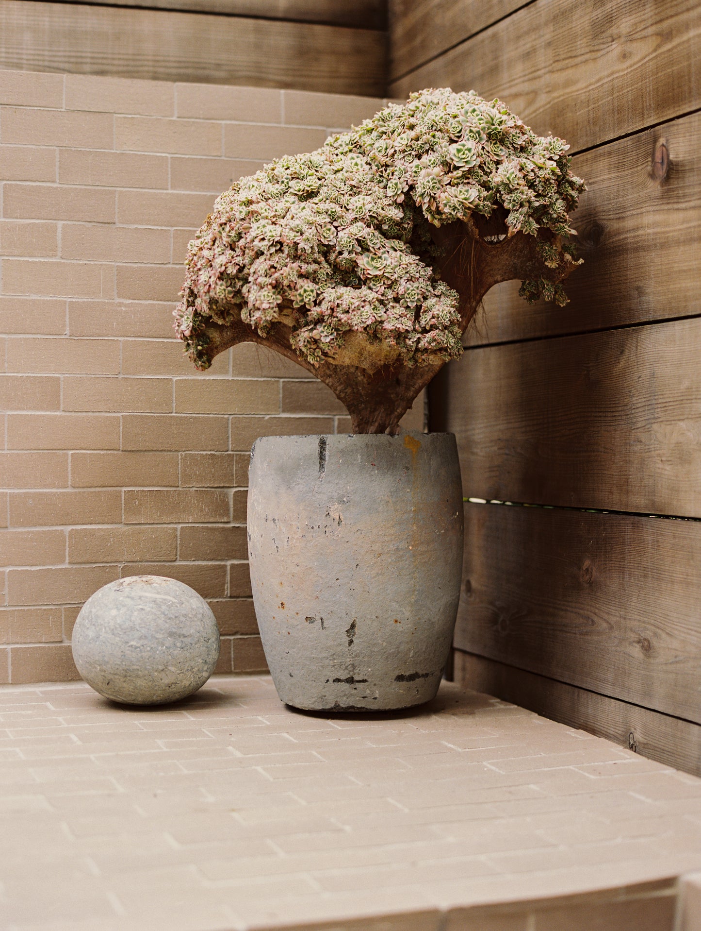 staircase of brick tile with pot and plant 
