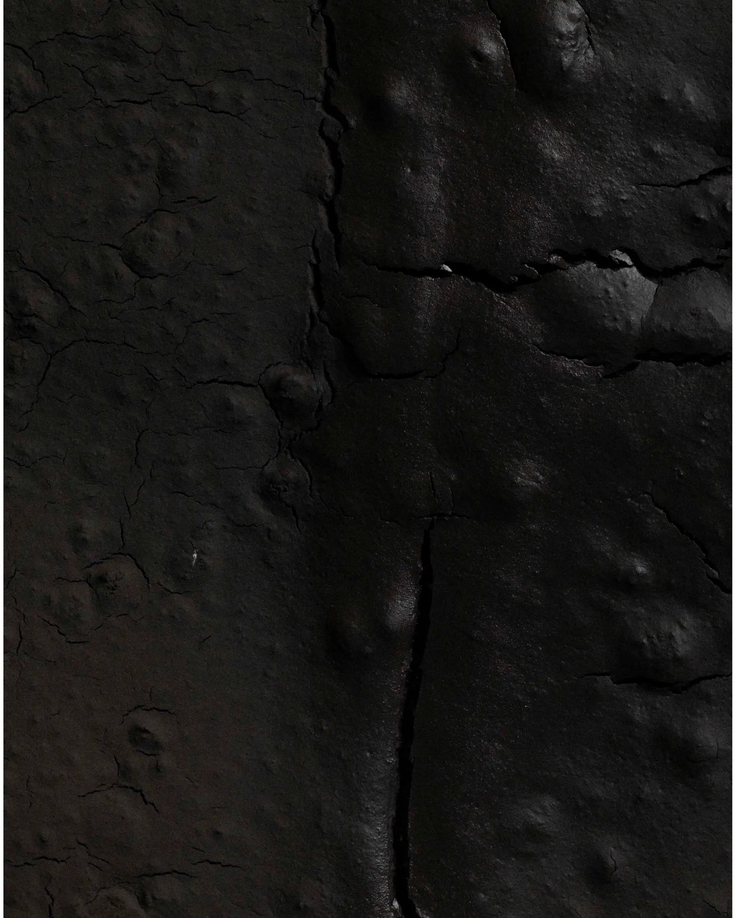 Earth Coat
