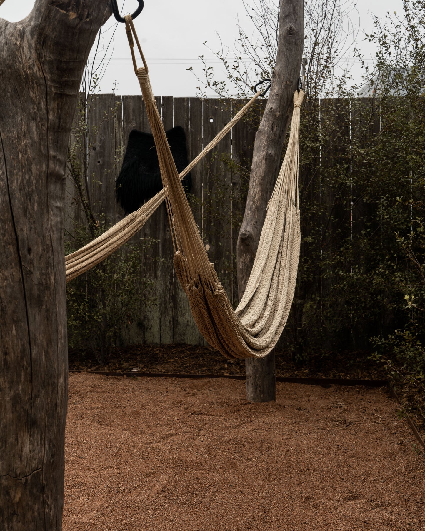 Hammock hanging between two trees with a wooden fence and greenery in the background