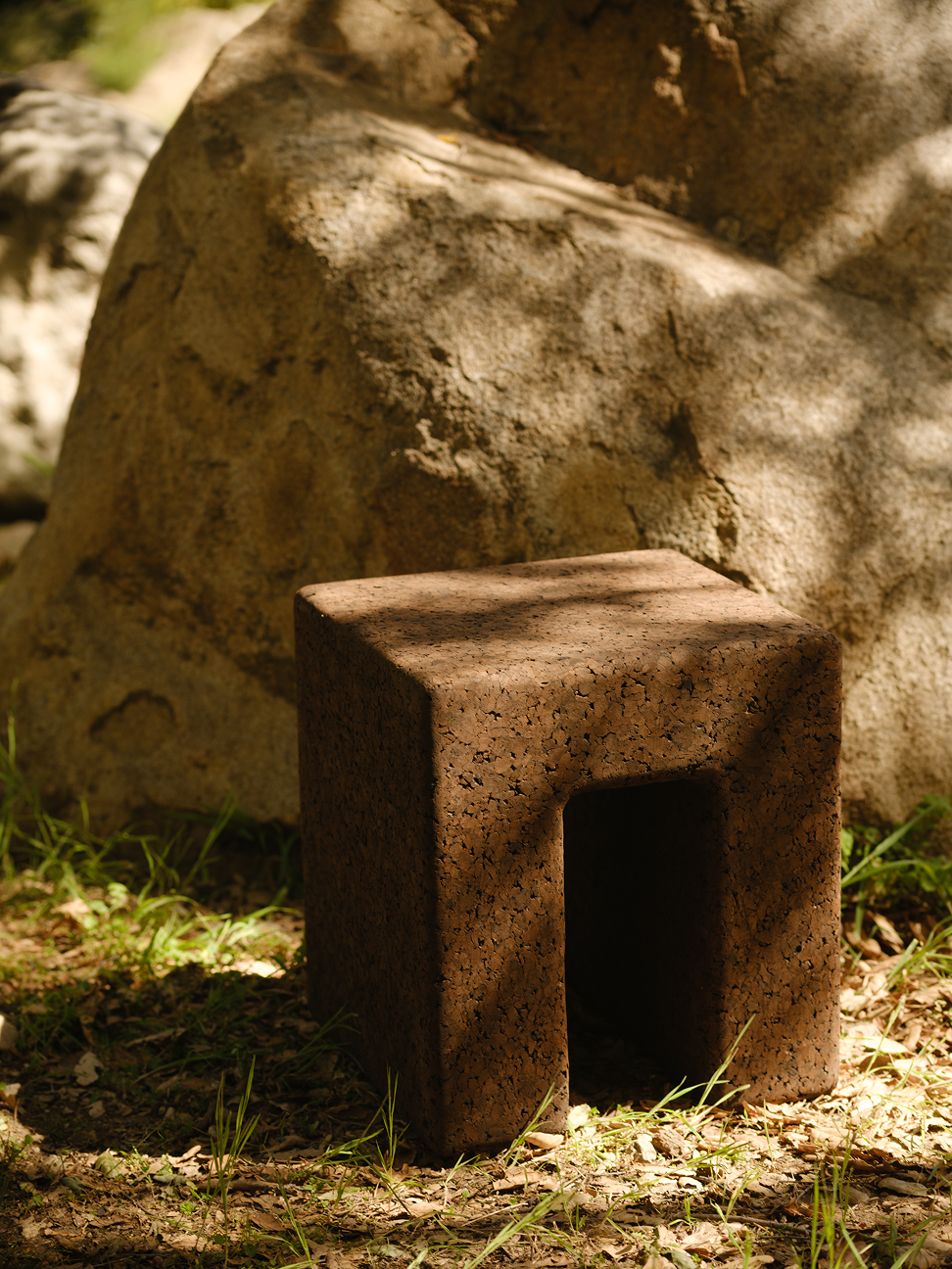 Mushroom Stool in Cork
