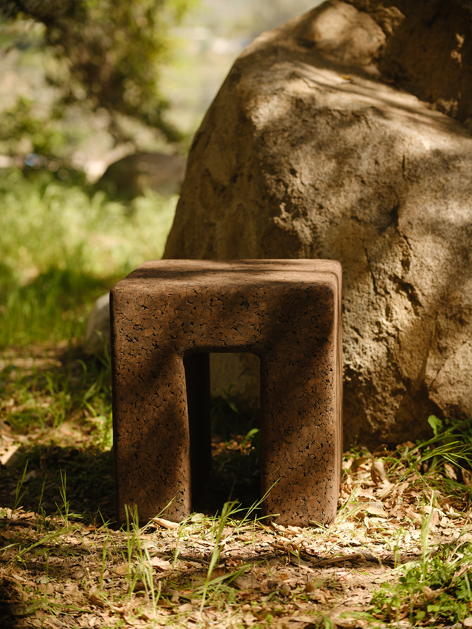 Mushroom Stool in Cork