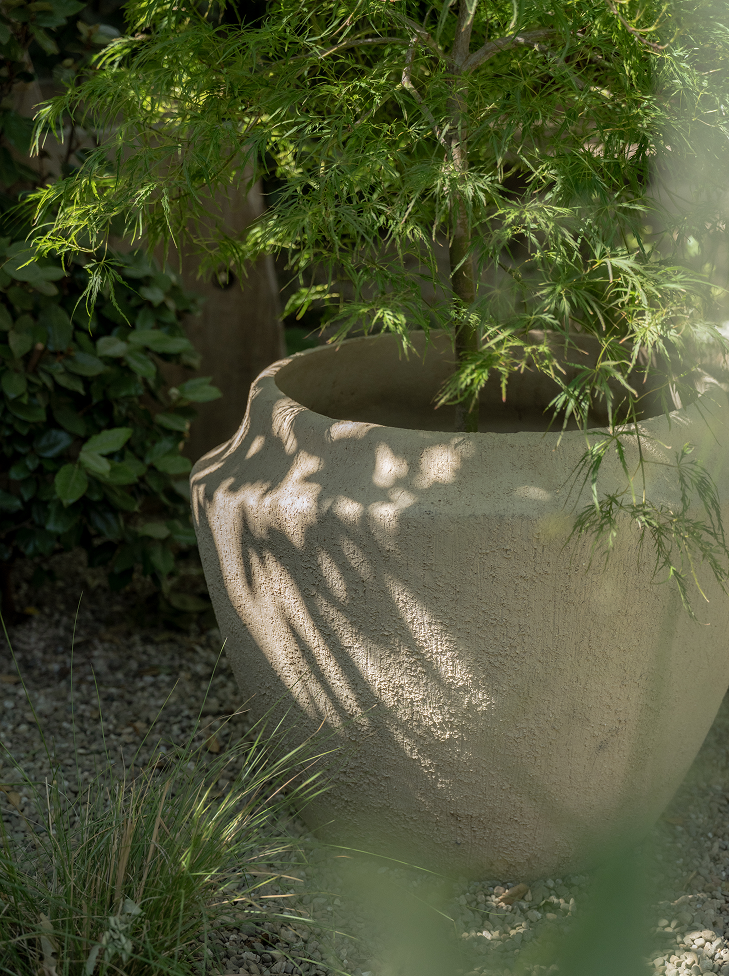 Large clay planter with a tree growing out of it in a garden setting