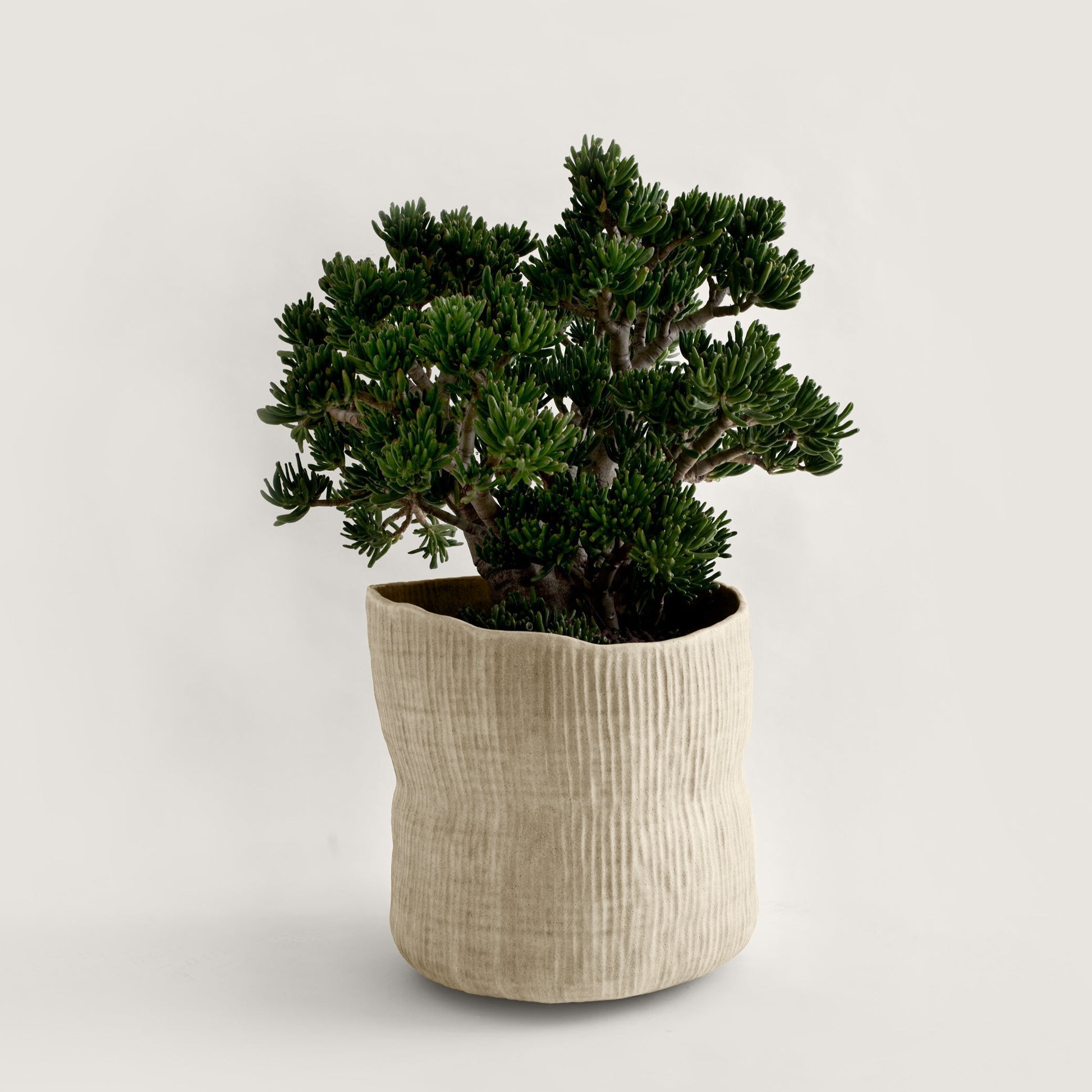black clay plant pots Raked Clay Planter – ORCA