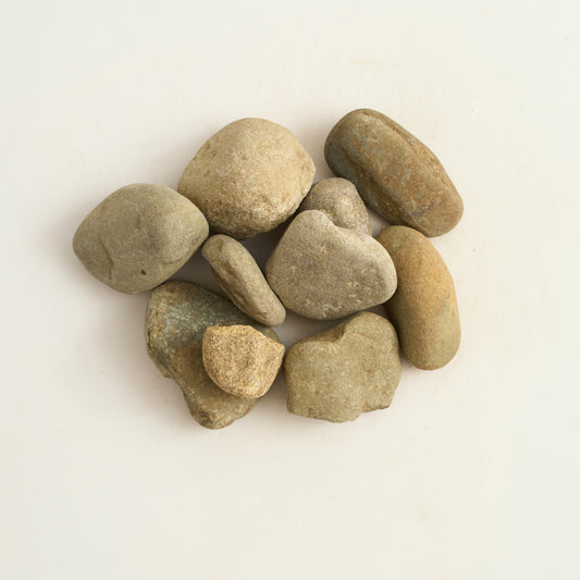 2-4"_coyote_round