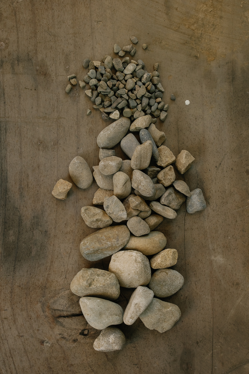 3/4"_coyote_round