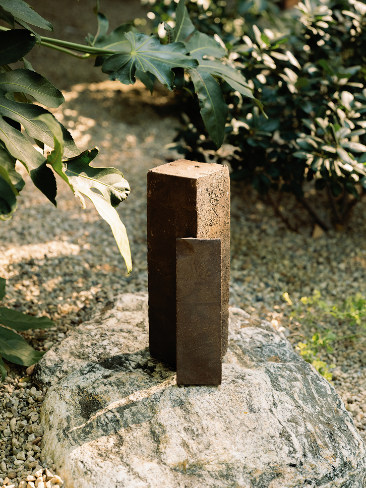 Brown paver on a rock with green foliage in the background