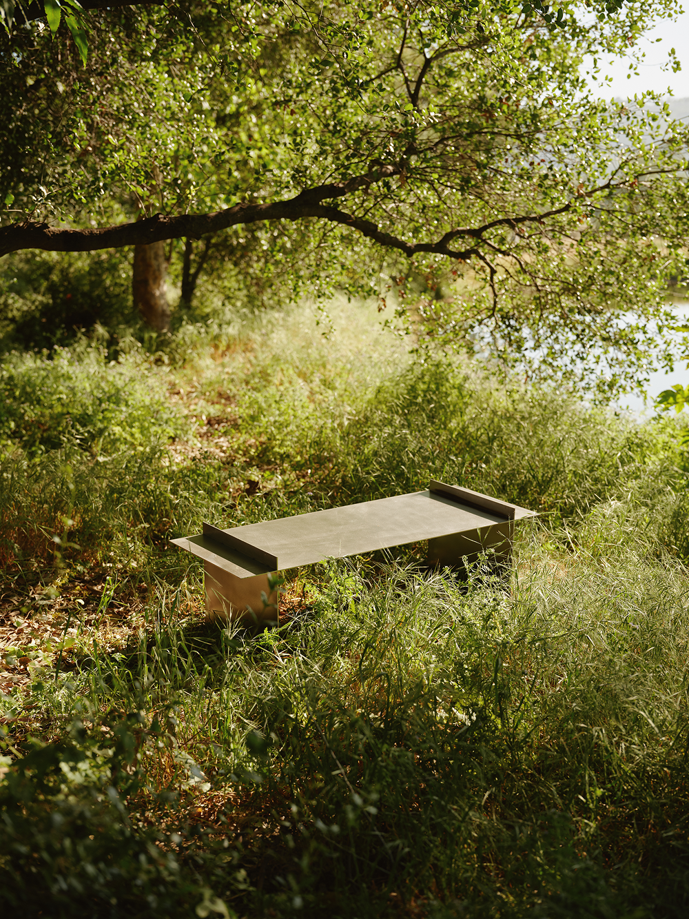 Metal bench in meadow