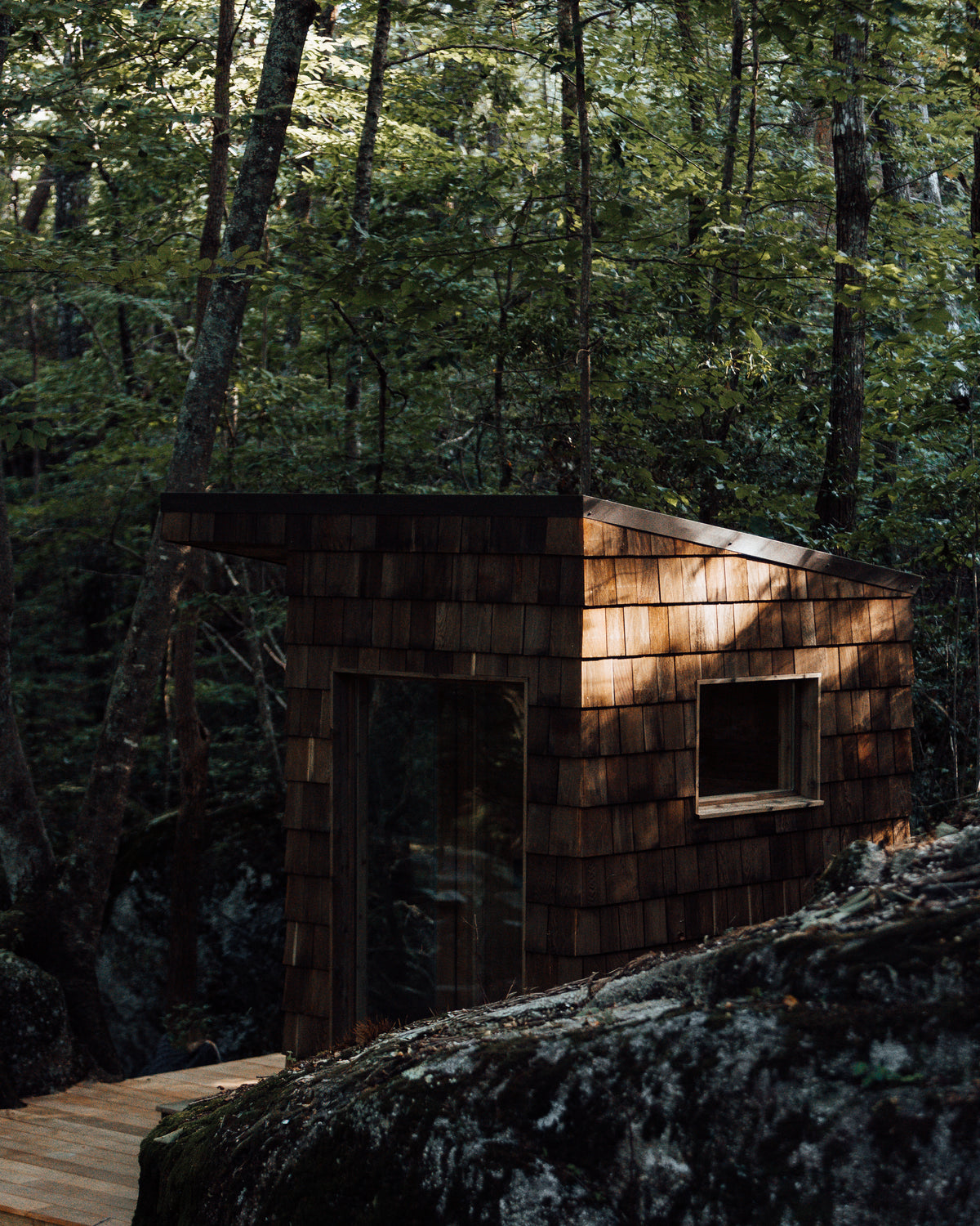 A small wooden cabin with dark brown shingles and a large glass door, nestled in a dense forest with sunlight filtering through the trees.