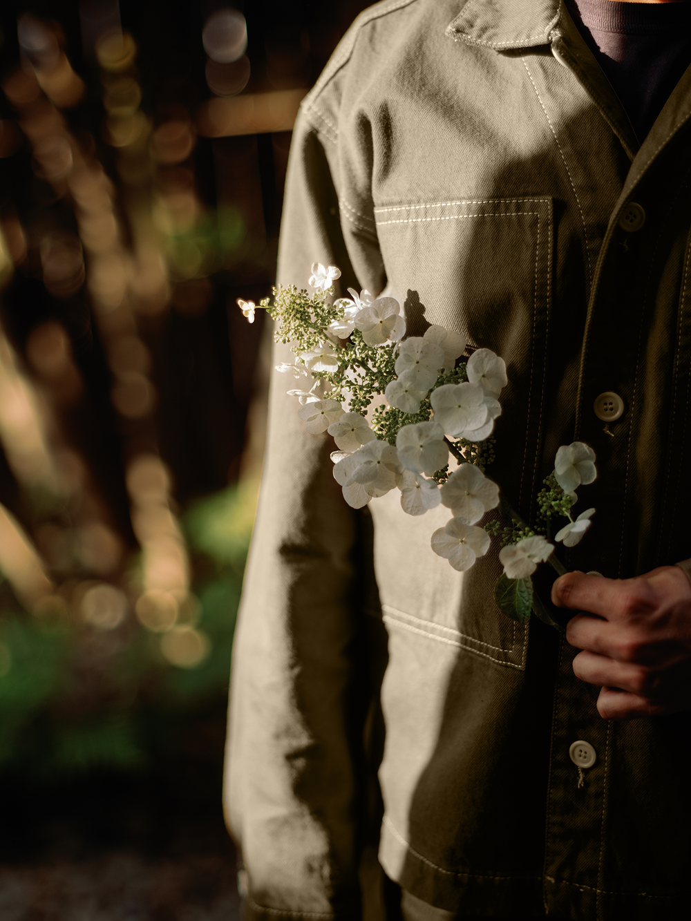 moss_medium