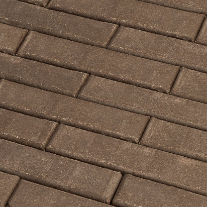 standard_bark