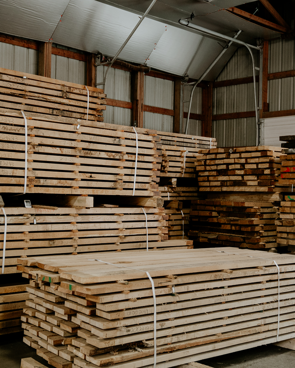 Unearthing: Wood with Cambium