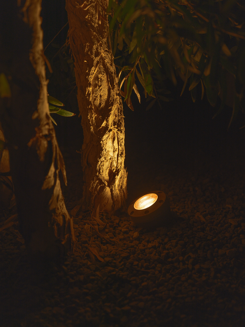 orca_well_light_65a968a8-434e-